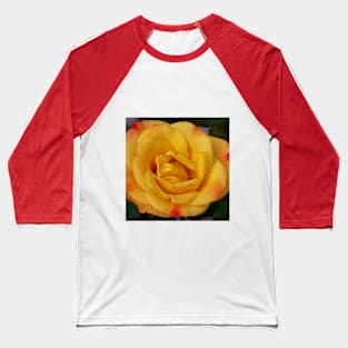 Yellow Rose Baseball T-Shirt